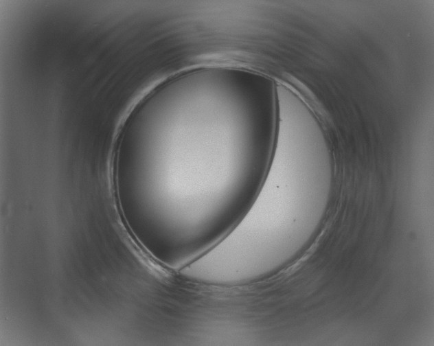 X0000073391196200607280901