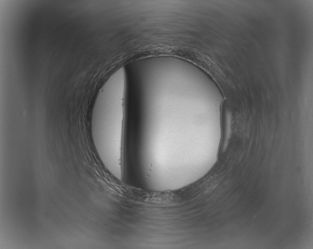 X0000073391201200607280900