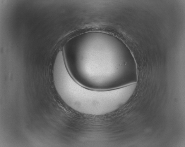 X0000073391206200607280900