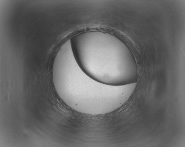 X0000073391207200607280900