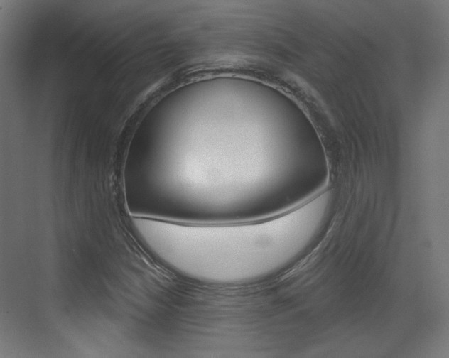 X0000073391210200607280900