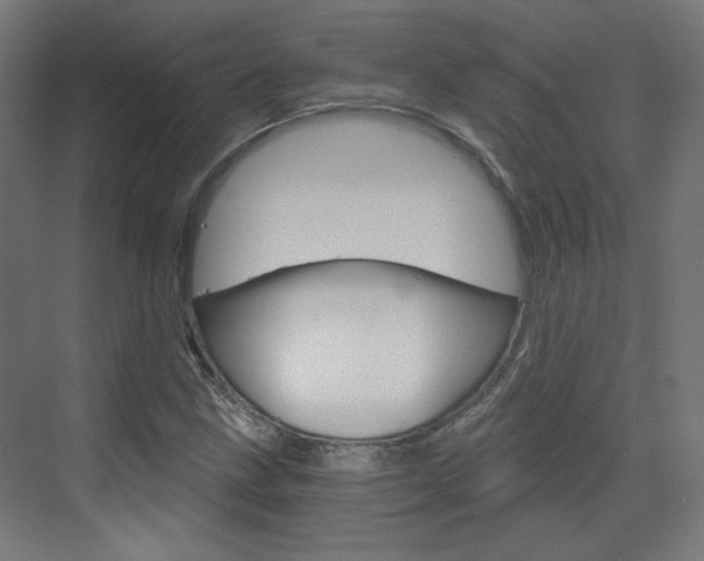 X0000073391211200607280900
