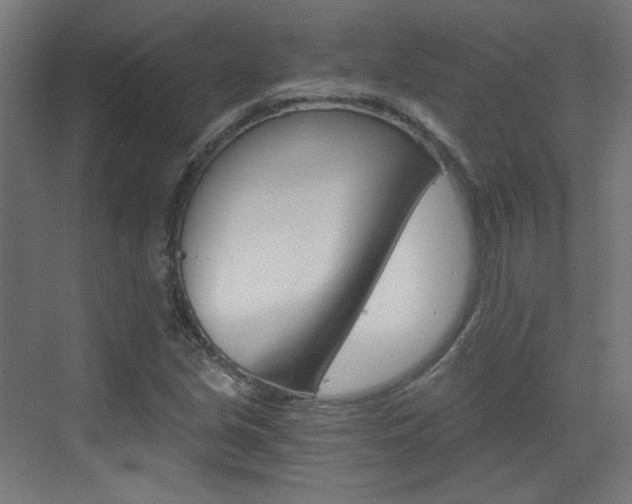X0000073391213200607280900