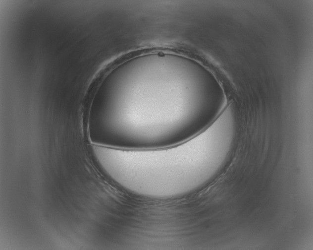 X0000073391214200607280900