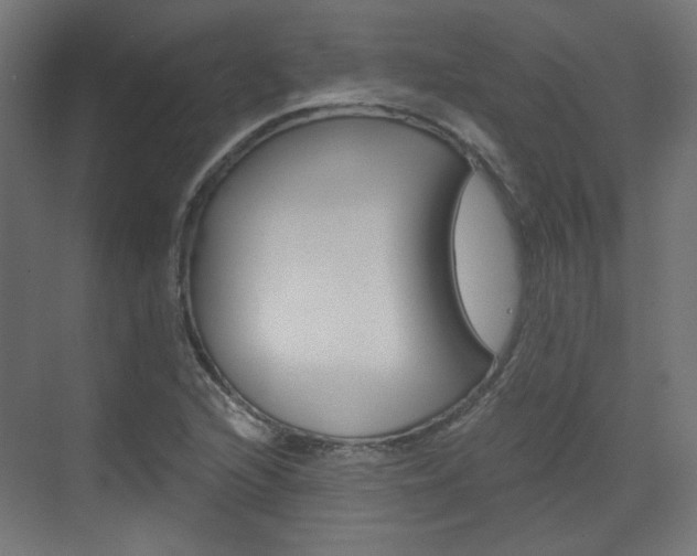 X0000073391216200607280900