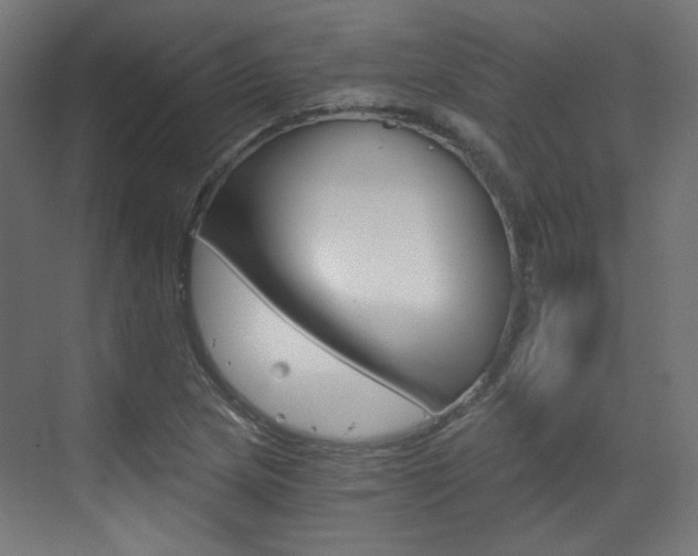X0000073391217200607280900