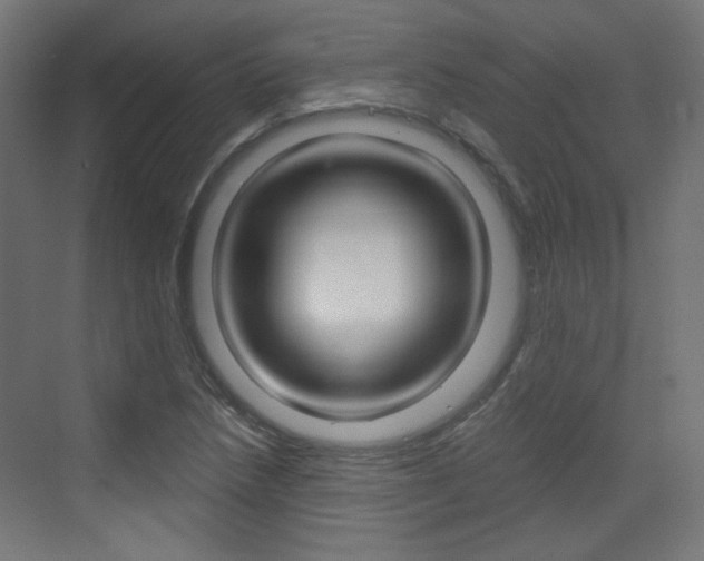 X0000073391218200607280900