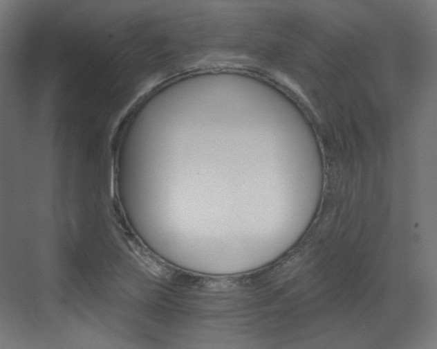 X0000073391219200607280900