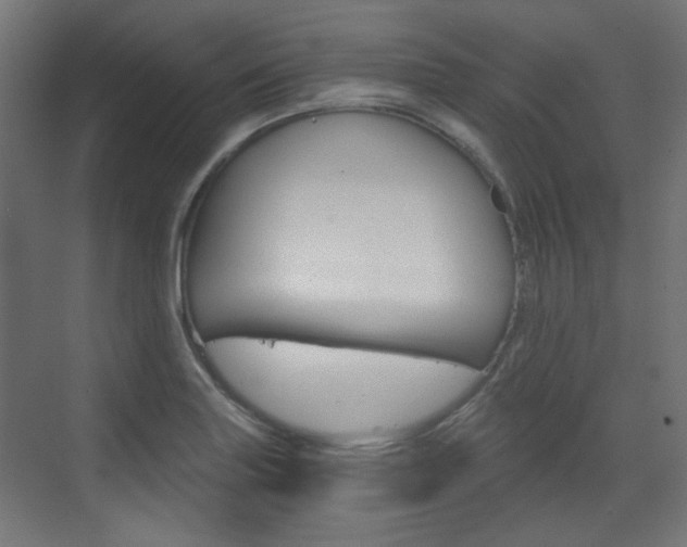 X0000073391227200607280900