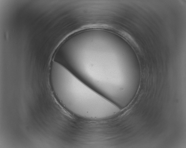 X0000073391228200607280900