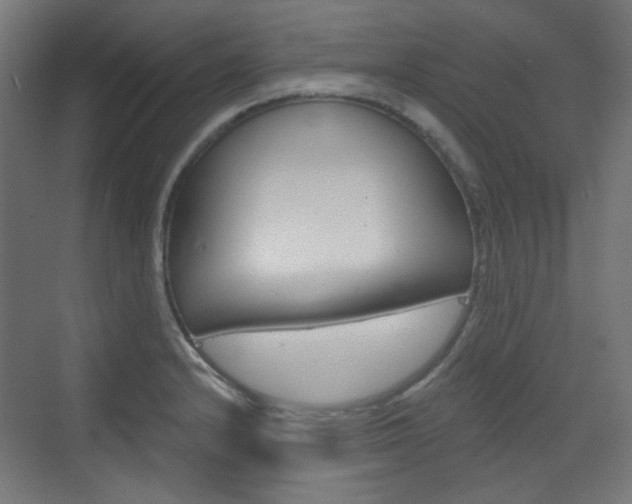 X0000073391232200607280900