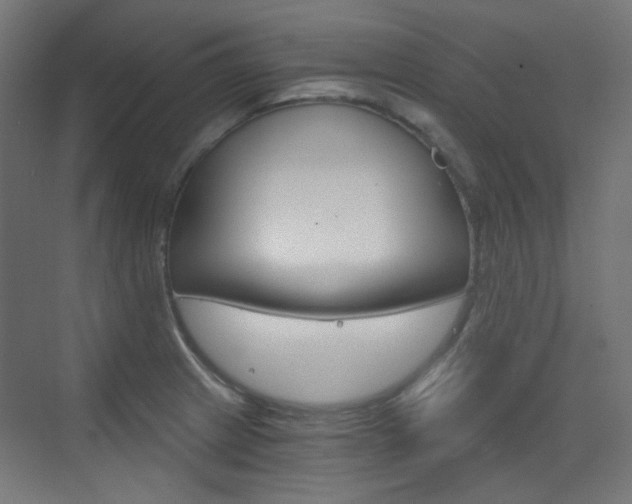 X0000073391233200607280901
