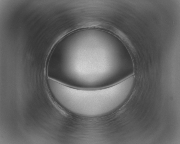 X0000073391234200607280901