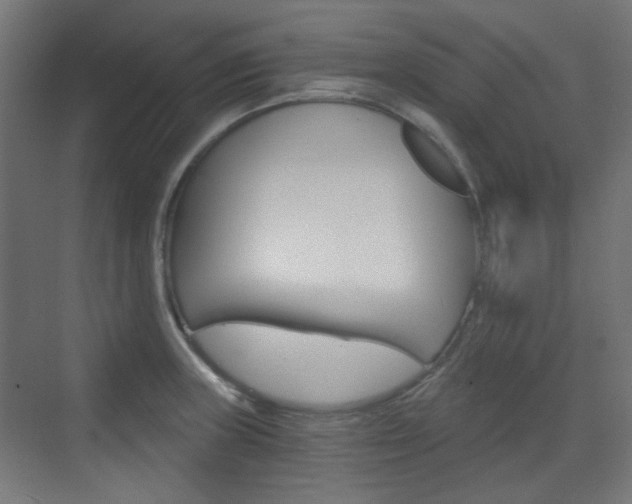X0000073391235200607280901