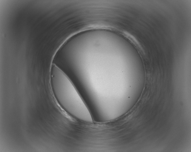 X0000073391236200607280901