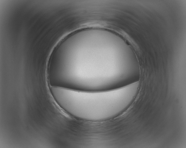 X0000073391240200607280901