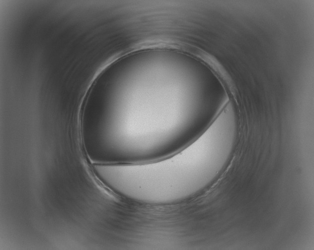X0000073391242200607280901