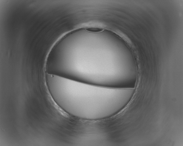 X0000073391248200607280901
