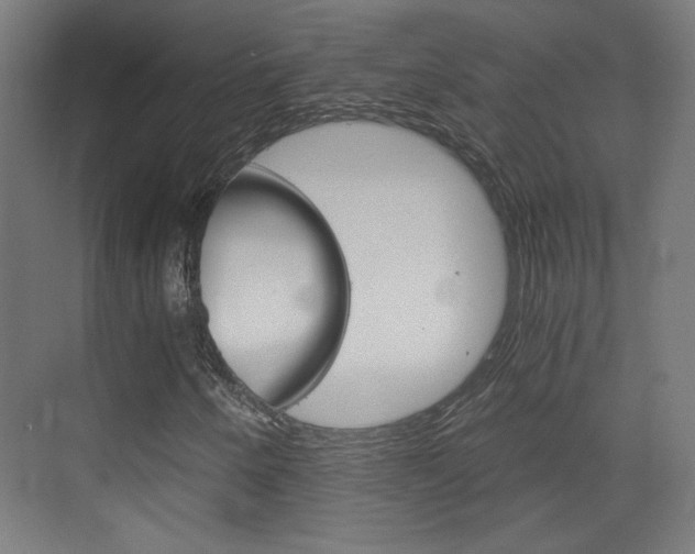 X0000073391250200607280900
