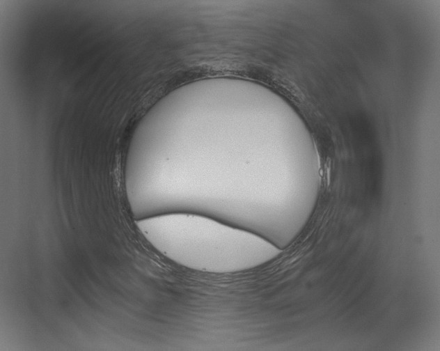 X0000073391251200607280900
