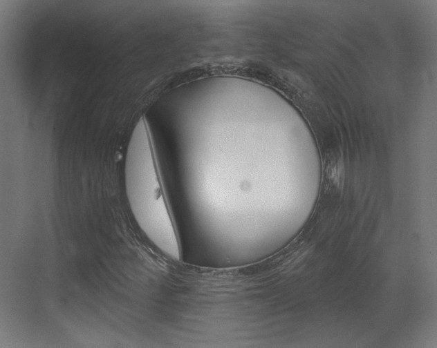 X0000073391252200607280900