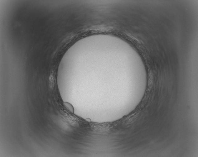 X0000073391254200607280900