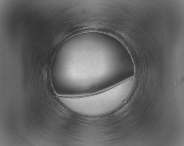 X0000073391257200607280900