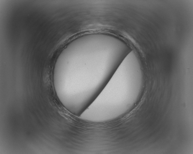 X0000073391259200607280900