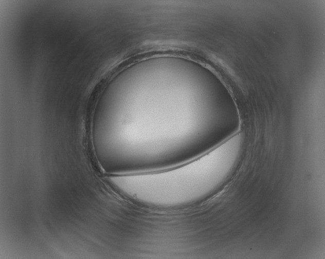 X0000073391261200607280900