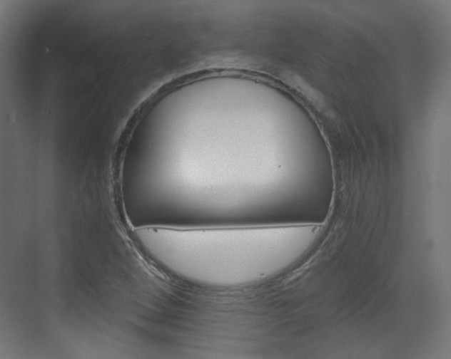 X0000073391264200607280900