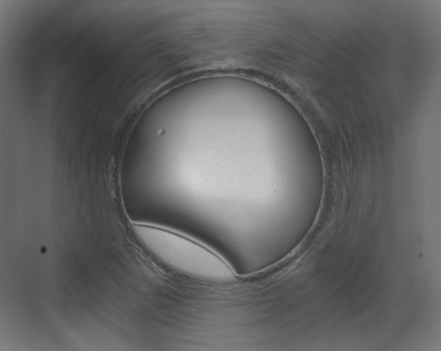 X0000073391265200607280900