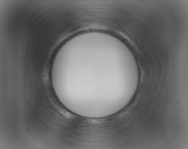 X0000073391266200607280900
