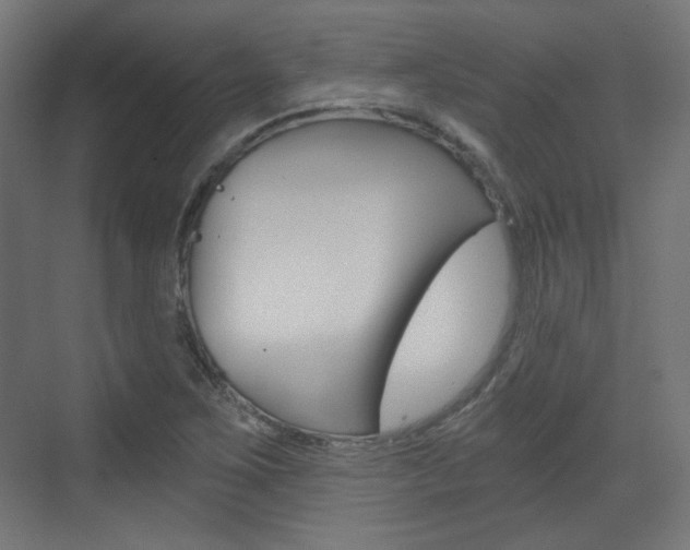 X0000073391267200607280900