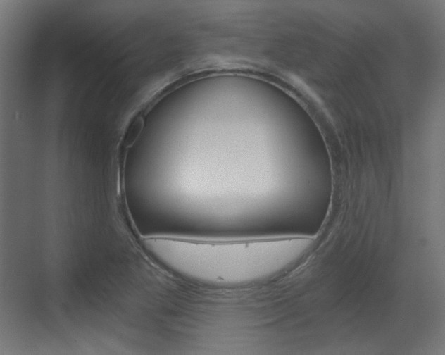 X0000073391269200607280900