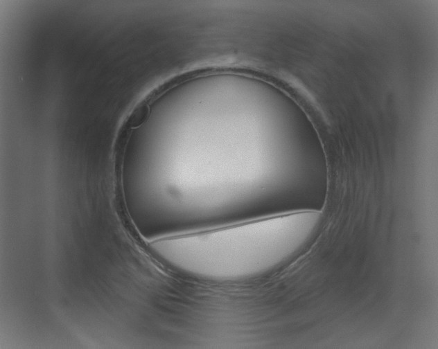 X0000073391270200607280900