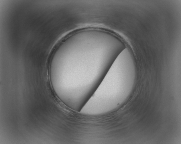 X0000073391271200607280900