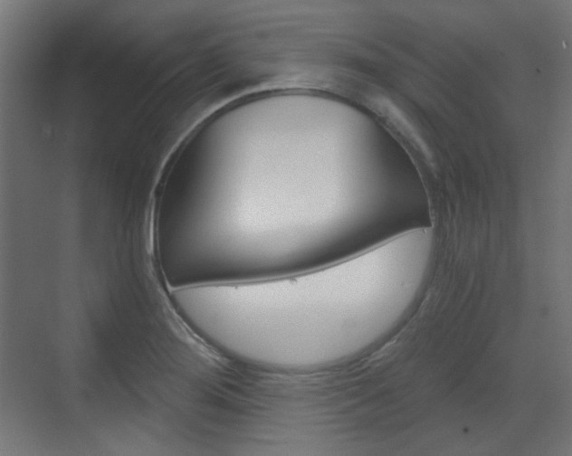 X0000073391276200607280859