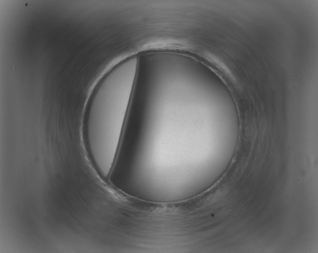 X0000073391277200607280859
