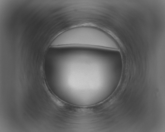 X0000073391281200607280859