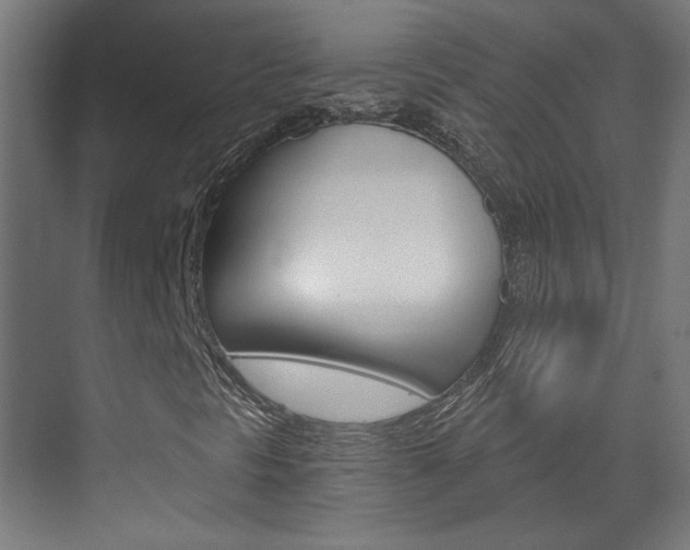 X0000073391297200607280858