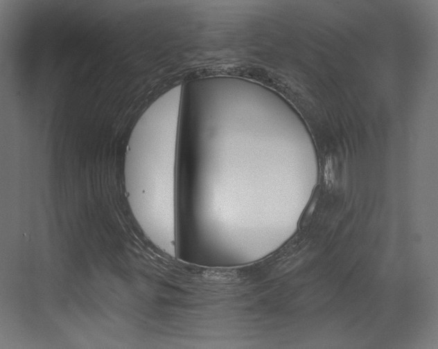 X0000073391299200607280858
