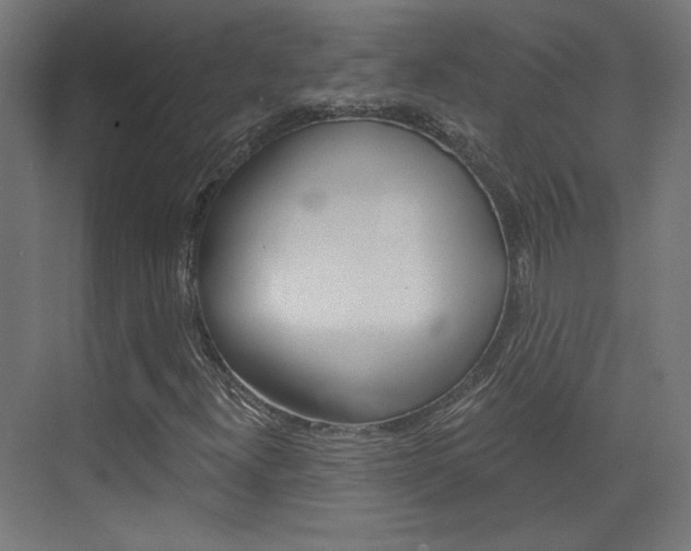 X0000073391300200607280858