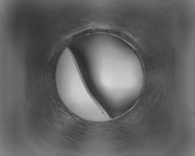 X0000073391303200607280858