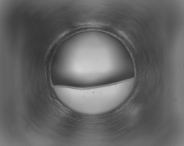 X0000073391307200607280859