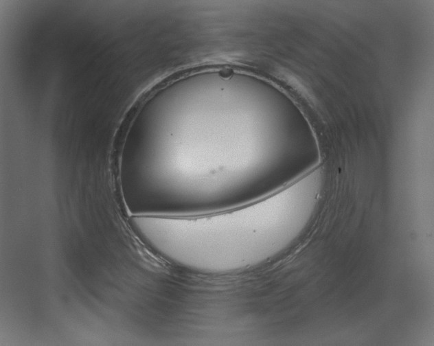 X0000073391308200607280859