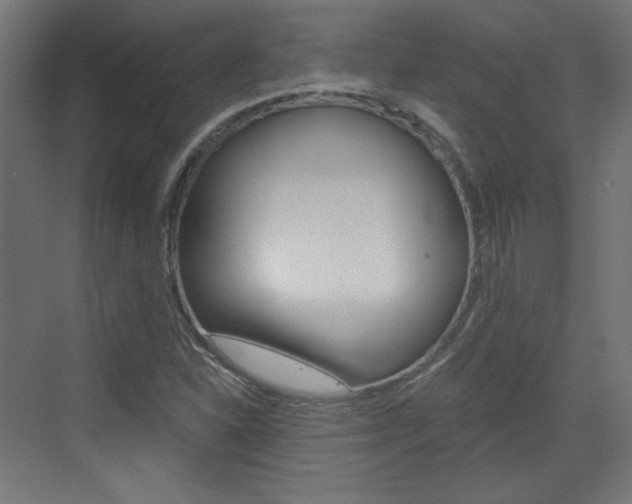 X0000073391310200607280859