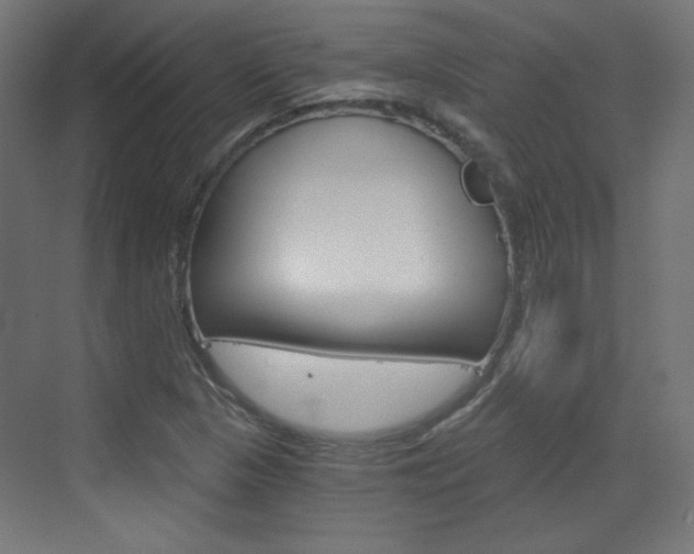 X0000073391313200607280859