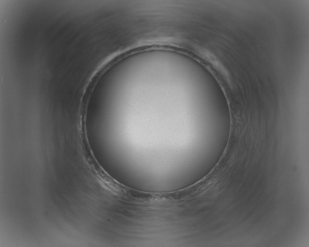 X0000073391316200607280859