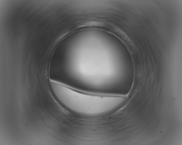 X0000073391321200607280859