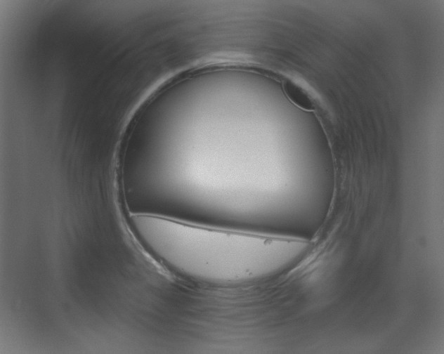 X0000073391325200607280859